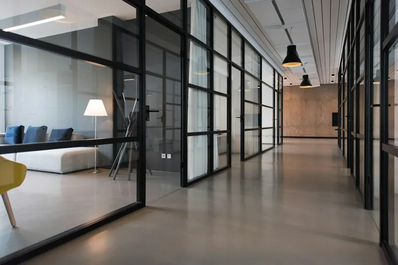 Sunlit office with plants, shared tables and lounge seating